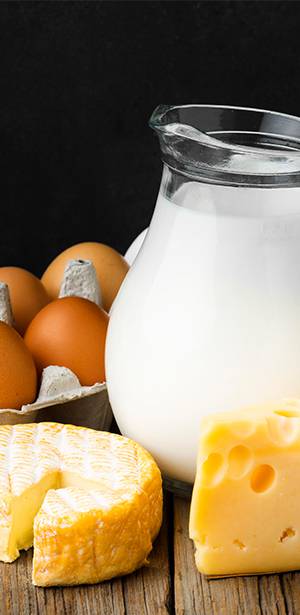 Eier, Käse und mehr Molkereiprodukte